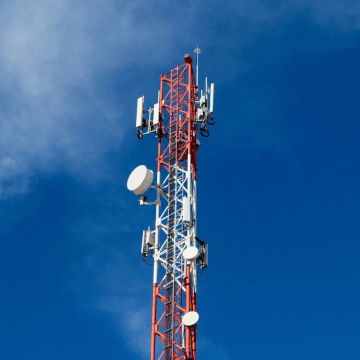Autonomous Real-Time Statistical Multiplexing System for Telepar Voice Services